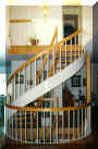 Oak 8' 6" HT